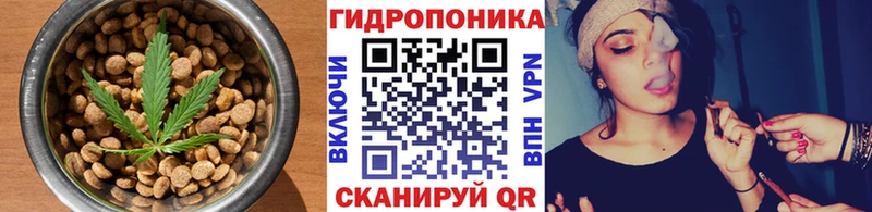 Печенье с ТГК конопля  Купить где  Сольцы 