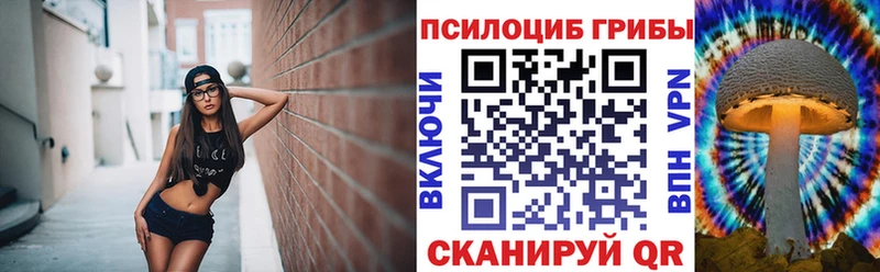 Псилоцибиновые грибы GOLDEN TEACHER  Купить  Сольцы 